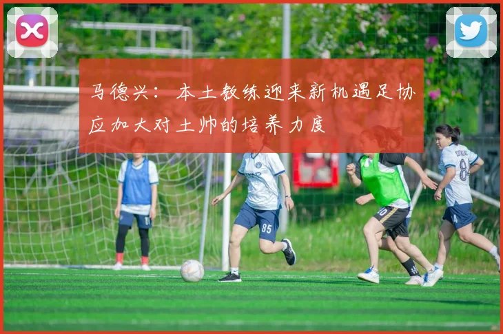 马德兴：本土教练迎来新机遇足协应加大对土帅的培养力度