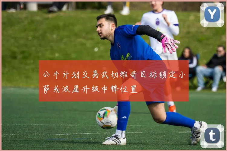 公牛计划交易武切维奇目标锁定小萨或浓眉升级中锋位置